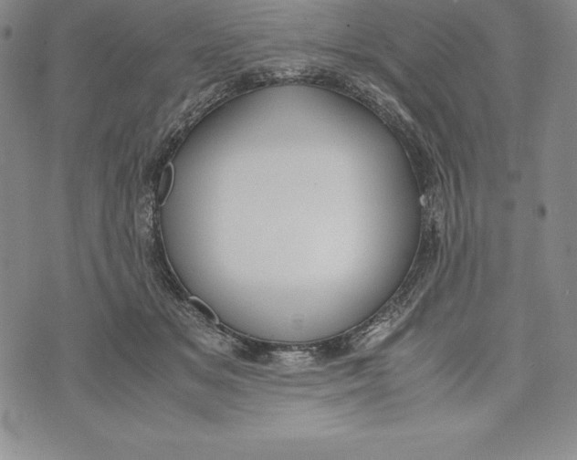 X0000072500509200608041445