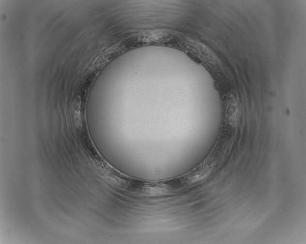 X0000072500510200608041444