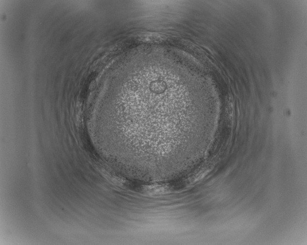 X0000072500511200608041444