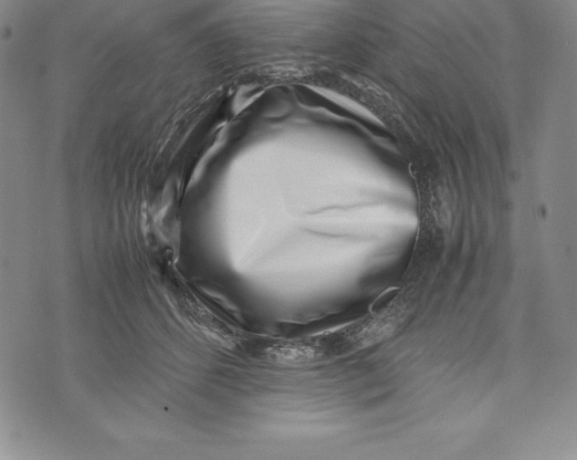 X0000072500512200608041444