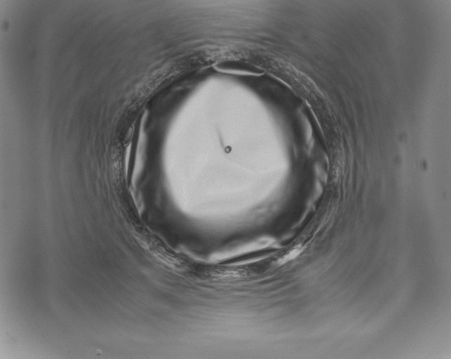 X0000072500513200608041444