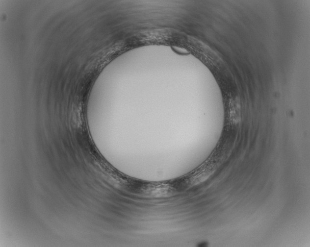 X0000072500514200608041444