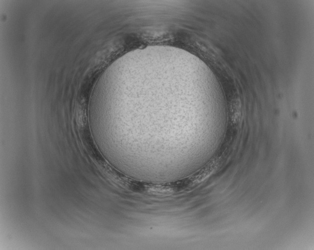 X0000072500515200608041444