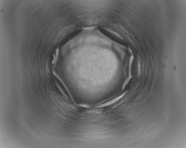 X0000072500516200608041444