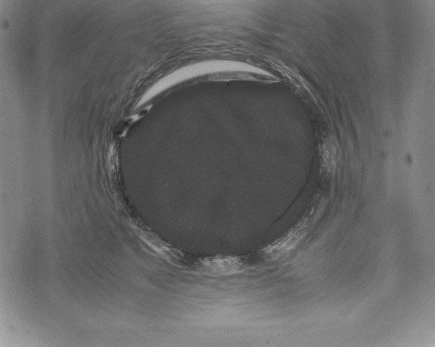 X0000072500517200608041444