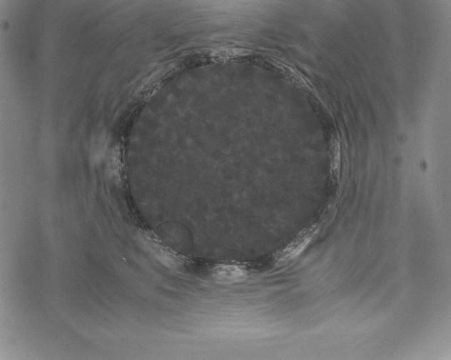 X0000072500519200608041444