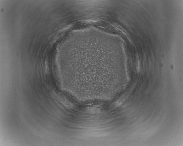 X0000072500520200608041444