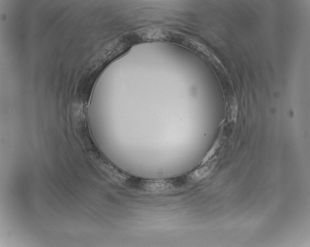 X0000072500521200608041444