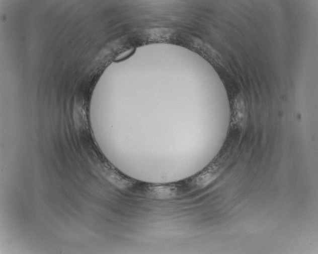 X0000072500522200608041444