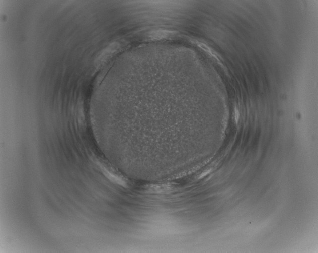 X0000072500524200608041444