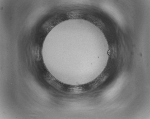 X0000072500525200608041444