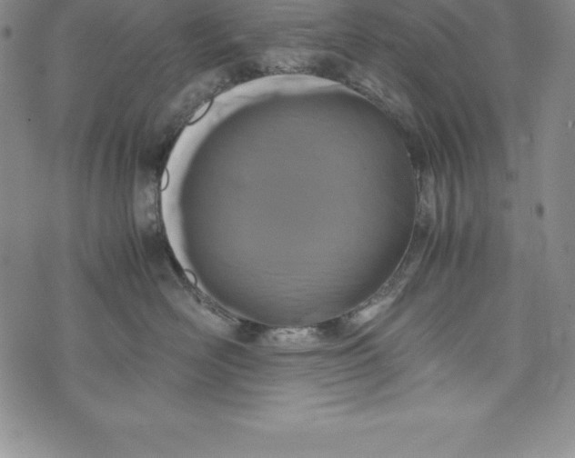 X0000072500526200608041444