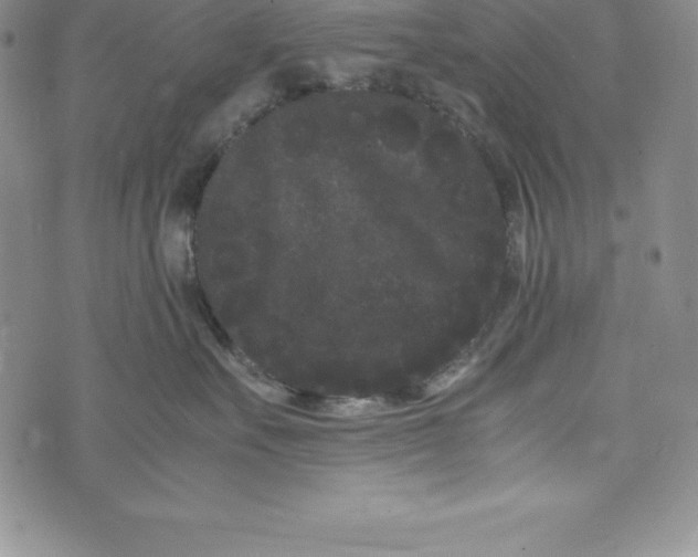 X0000072500527200608041444