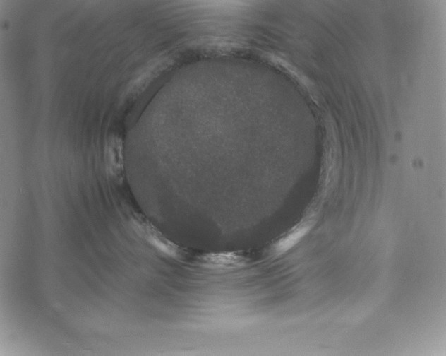 X0000072500528200608041444