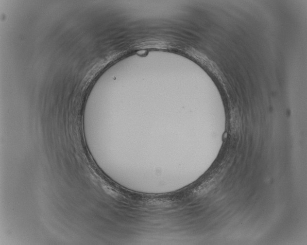 X0000072500529200608041443