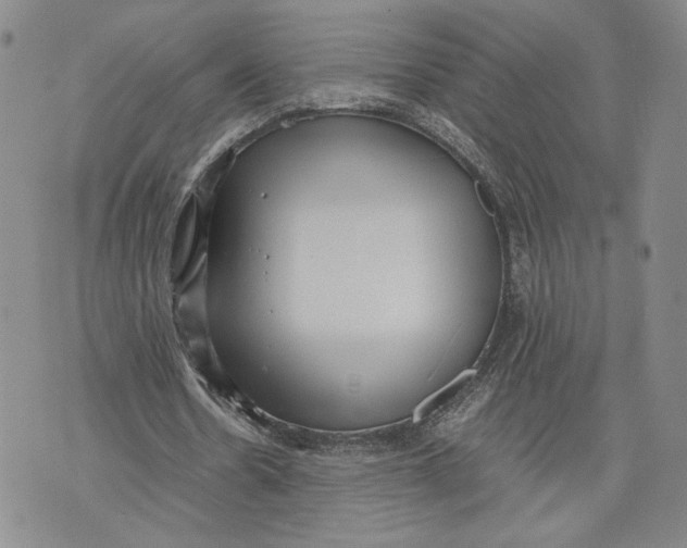 X0000072500530200608041443