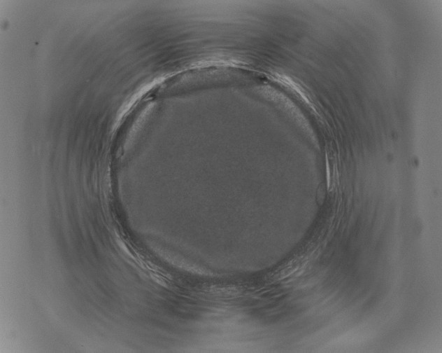 X0000072500531200608041443