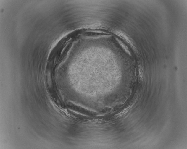 X0000072500532200608041443