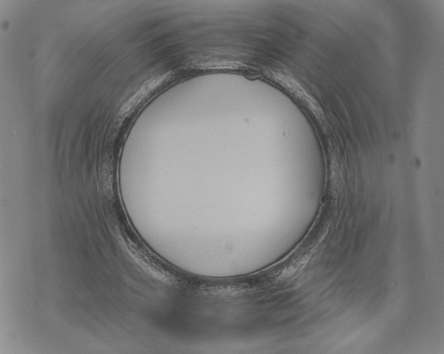 X0000072500533200608041443