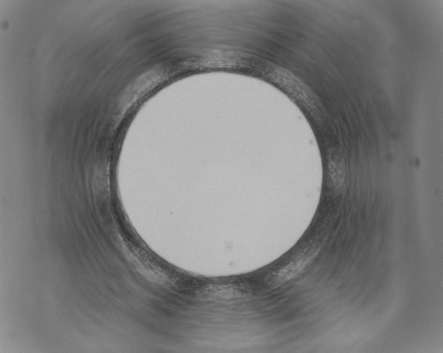 X0000072500534200608041443