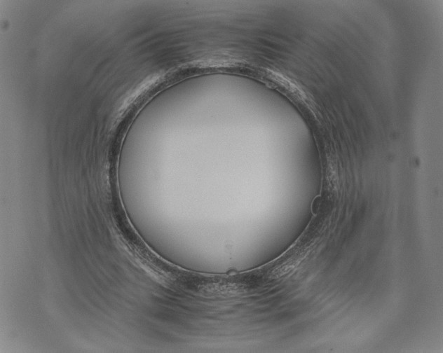 X0000072500535200608041444