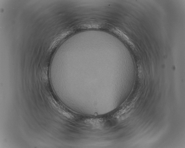 X0000072500537200608041444