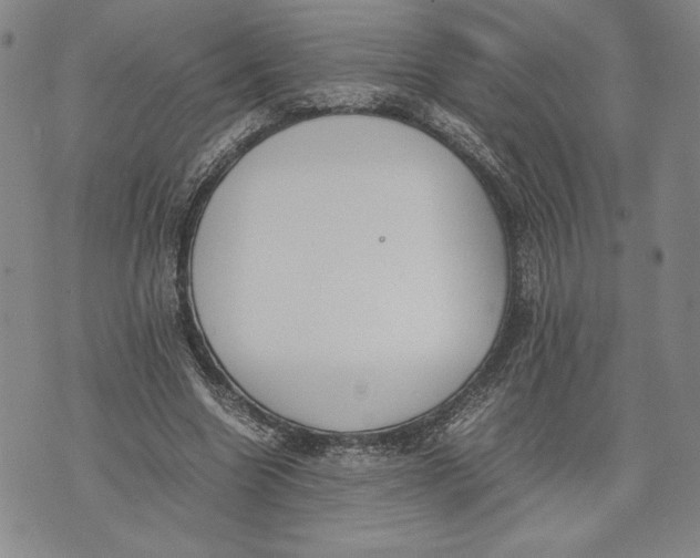 X0000072500538200608041444