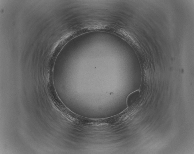 X0000072500539200608041444