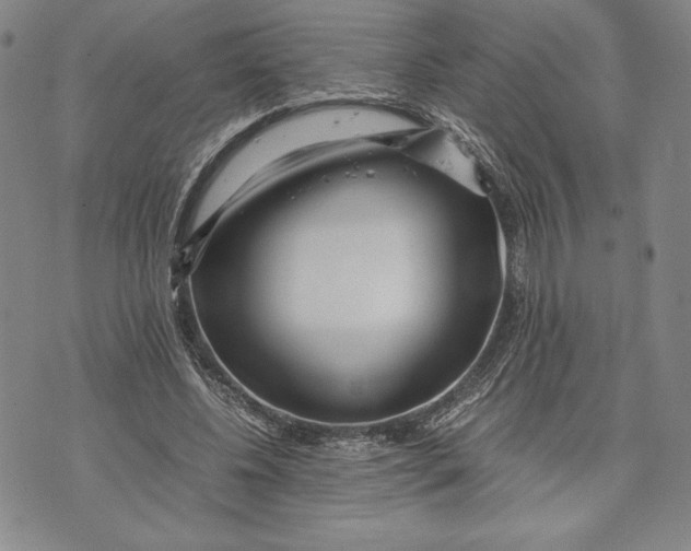 X0000072500540200608041444