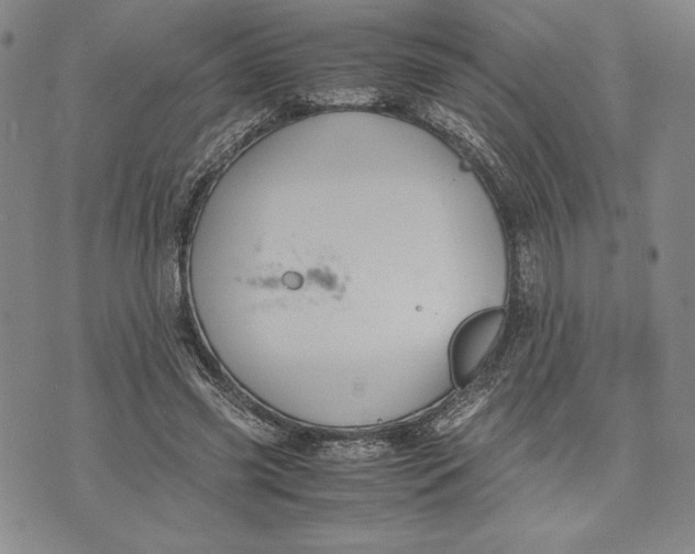 X0000072500541200608041444