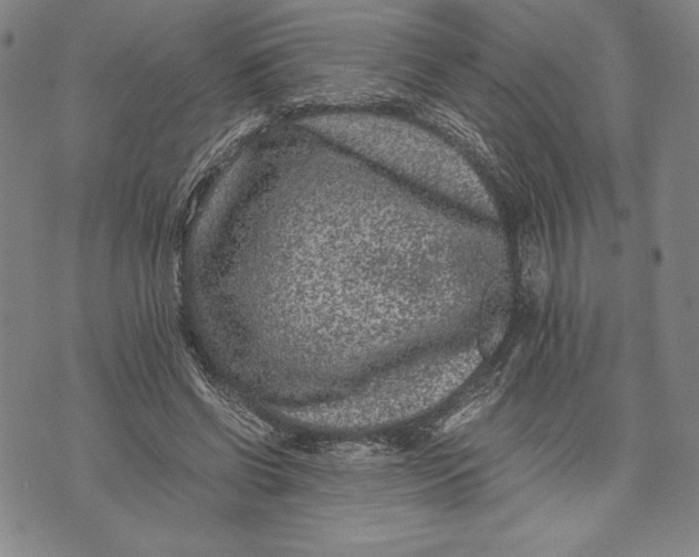 X0000072500542200608041444