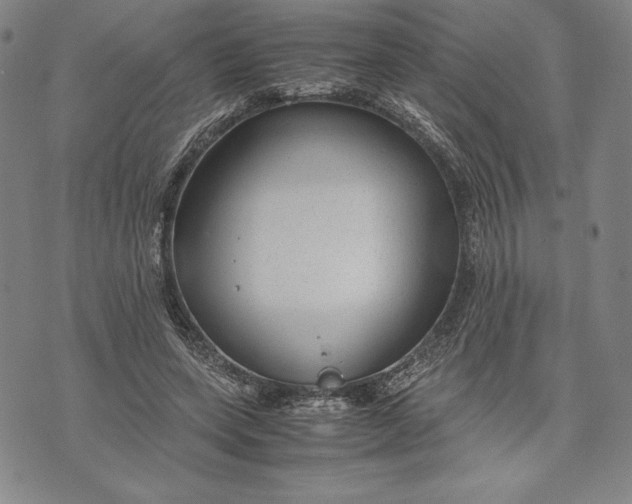 X0000072500543200608041444