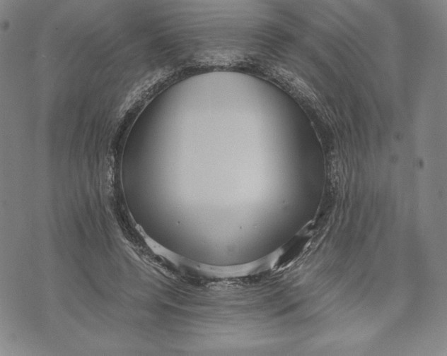 X0000072500544200608041444