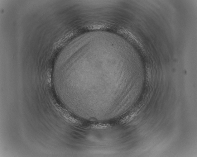 X0000072500545200608041444