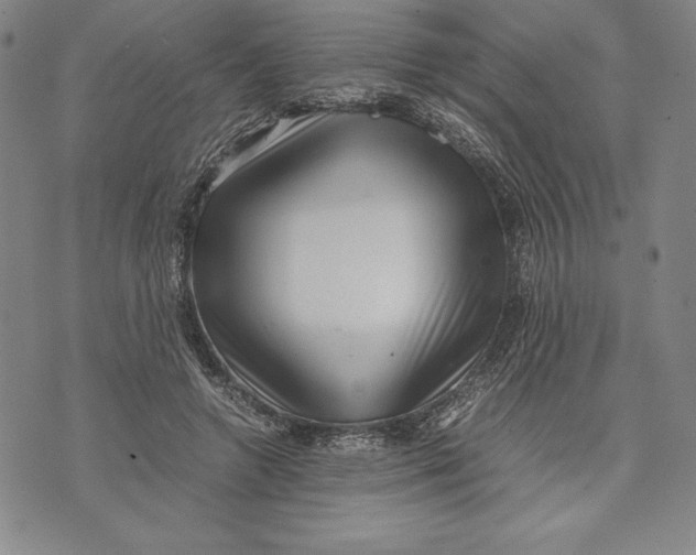 X0000072500546200608041444