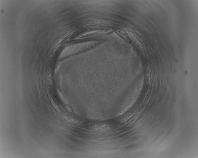 X0000072500547200608041444