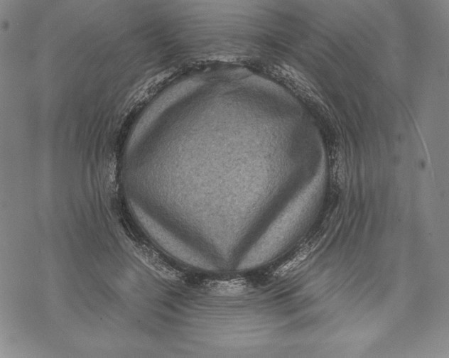 X0000072500548200608041444