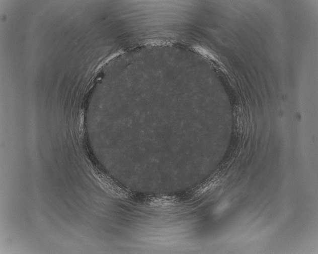 X0000072500550200608041444