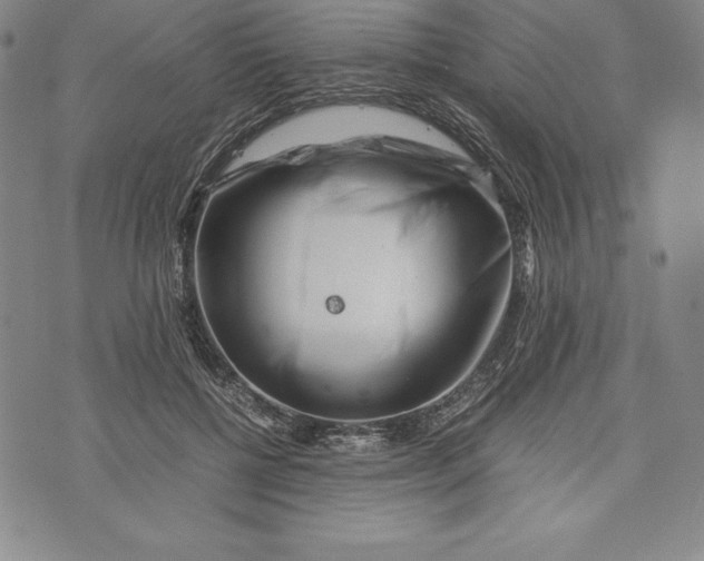 X0000072500552200608041444