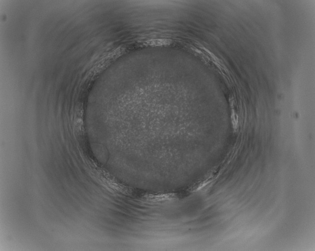 X0000072500553200608041444