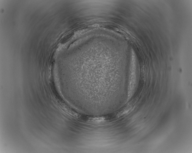 X0000072500554200608041444