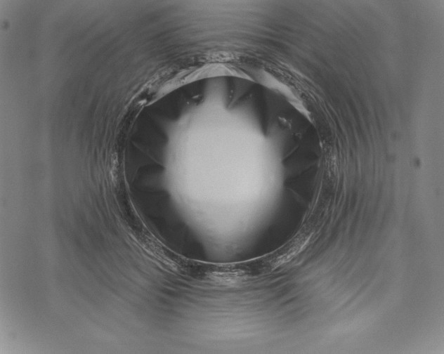 X0000072500556200608041444