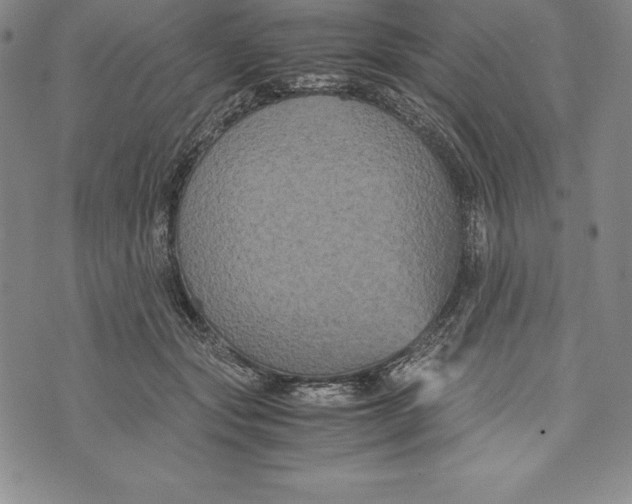 X0000072500557200608041444