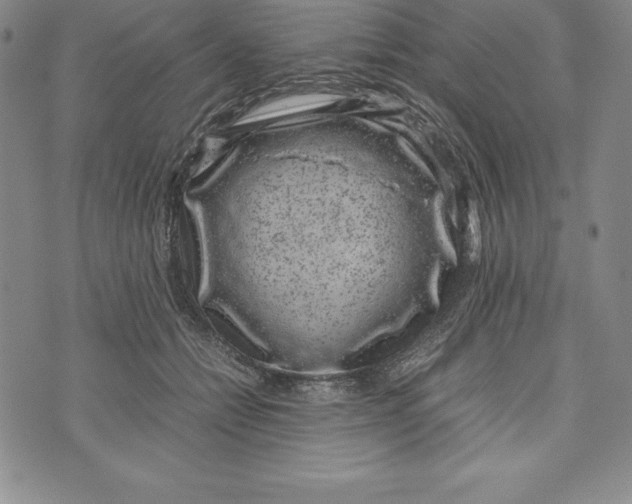 X0000072500558200608041444