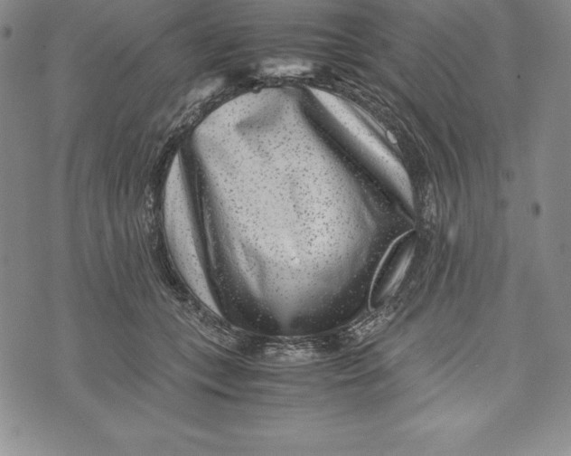 X0000072500559200608041444