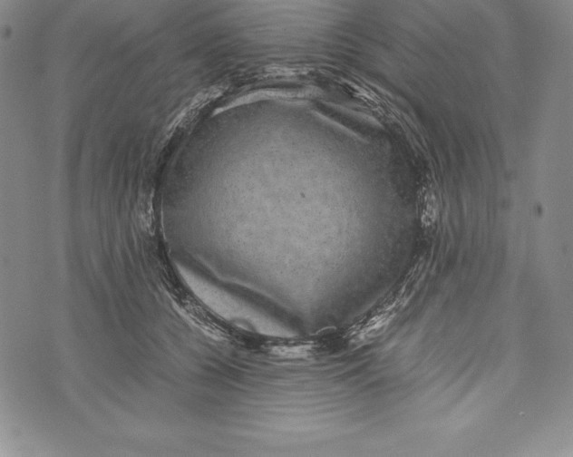 X0000072500560200608041444