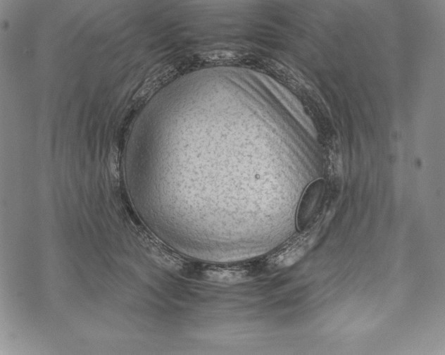 X0000072500561200608041444