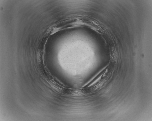 X0000072500562200608041444