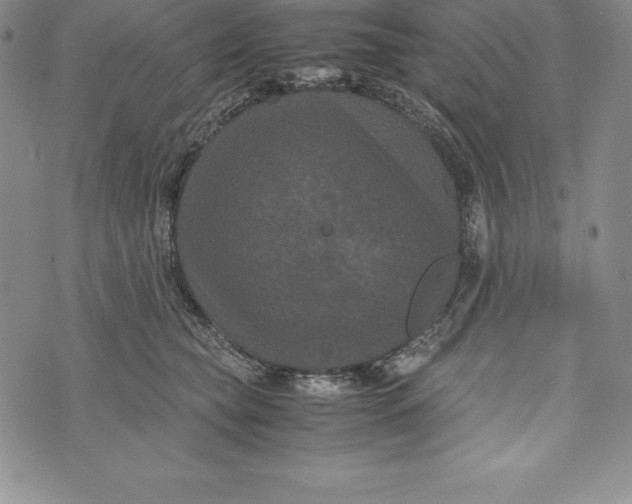 X0000072500565200608041444