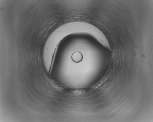 X0000072500566200608041444